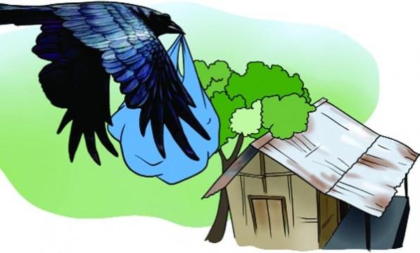 তমালদের কাক