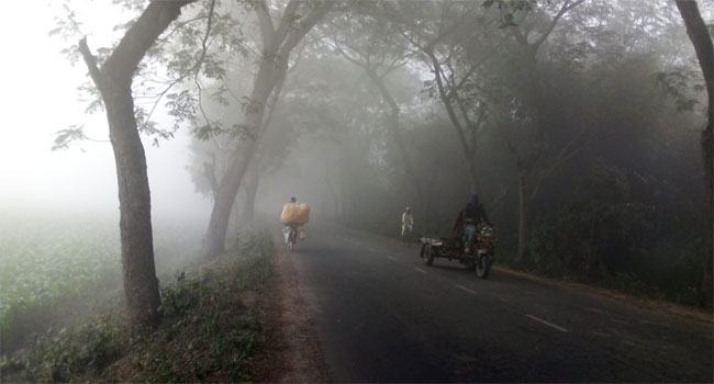 চুয়াডাঙ্গায় শীতে জবুথবু, তাপমাত্রা ১৪.২ ডিগ্রি