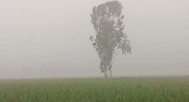 কুয়াশা পড়তে পারে