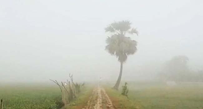 শেষ রাত থেকে ভোর পর্যন্ত কুয়াশা পড়তে পারে