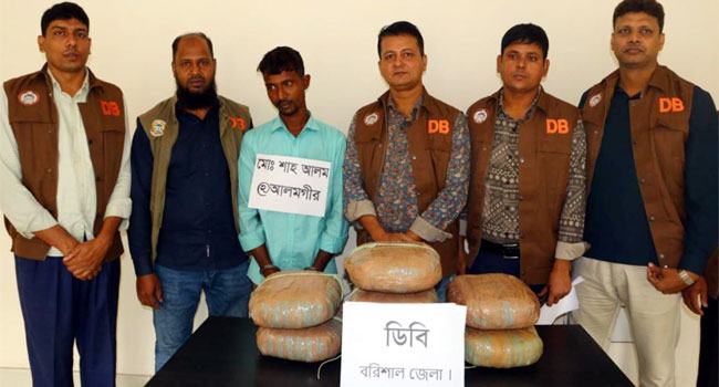 গৌরনদীতে গাঁজাসহ পিকআপচালক গ্রেফতার