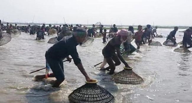শ্রীমঙ্গলে পলো উৎসবে মানুষের ঢল