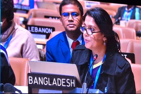 কপ২৯ সম্মেলনে অনুদানভিত্তিক অর্থ বরাদ্দের আহ্বান পরিবেশ উপদেষ্টার