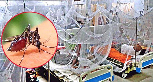 ডেঙ্গুতে আরো ২ জনের মৃত্যু, হাসপাতালে ৪৫৮