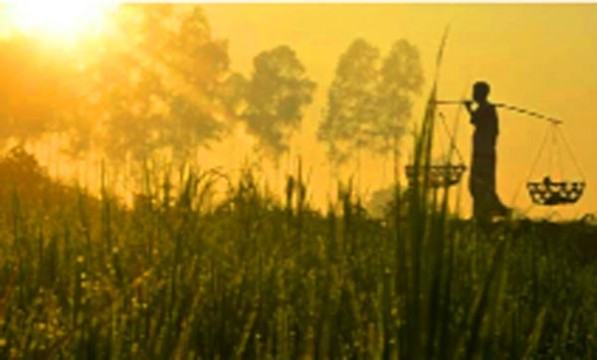 হেমন্তের রূপবৈচিত্র্য