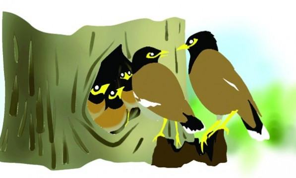 সাহসী ছানা