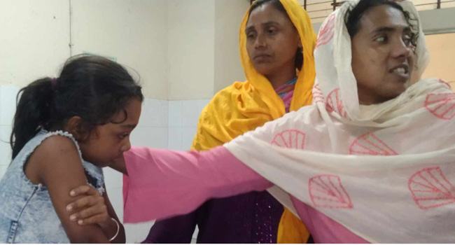 আমতলীতে কুকুরের কামড়ে ২৭ জন হাসপাতালে