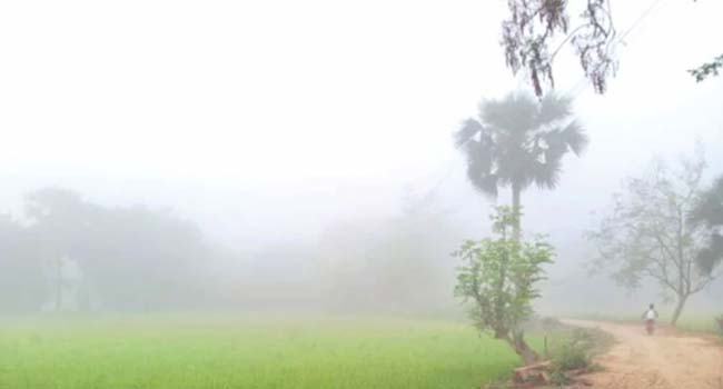 ঘন কুয়াশা পড়তে পারে
