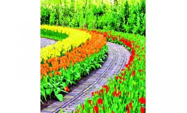 বাগান কী