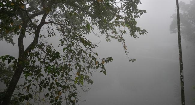 কুয়াশায় ঢাকা কুড়িগ্রাম, তাপমাত্রা ১৫.৬ ডিগ্রি