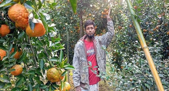 শখের বশে কমলা চাষে সফল রানা