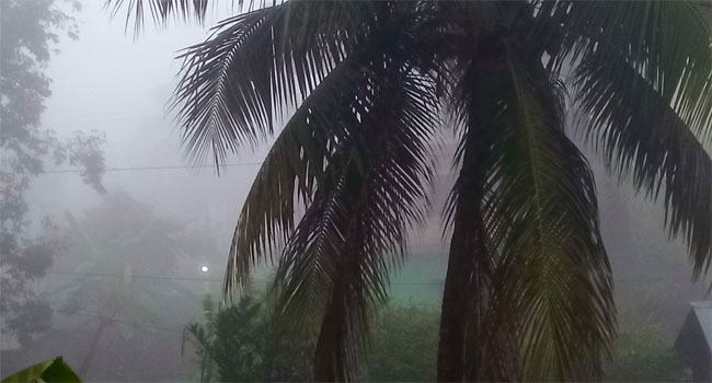 শ্রীমঙ্গলে জেঁকে বসছে শীত, তাপমাত্রা ১৫ ডিগ্রী সেলসিয়াস