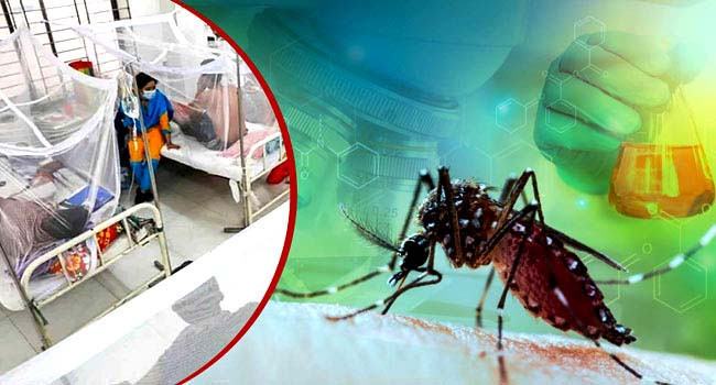 ডেঙ্গুতে আরো ১০ মৃত্যু, হাসপাতালে ৯৯০