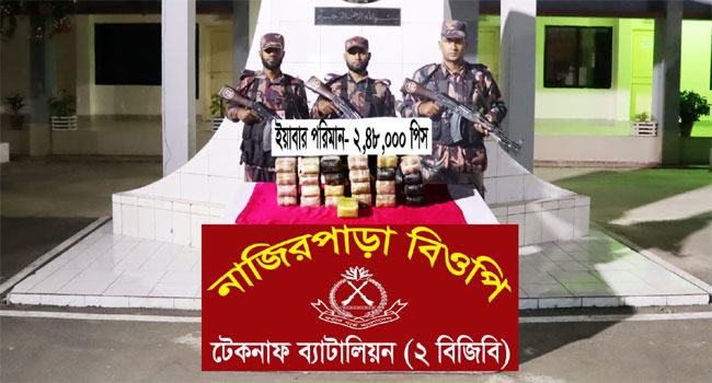 টেকনাফে ২ লাখ ৪৮ হাজার পিস ইয়াবা উদ্ধার