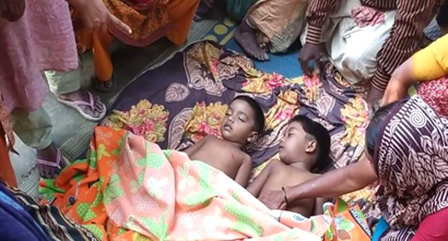 শিবচরে পানিতে ডুবে ভাই-বোনের মৃত্যু
