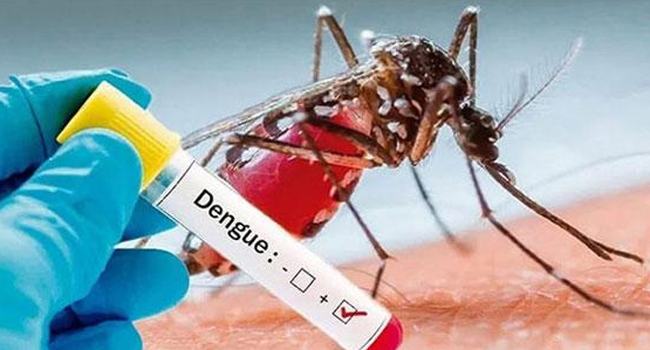 ডেঙ্গুতে আরো ৩ জনের মৃত্যু, হাসপাতালে ৩৫৪