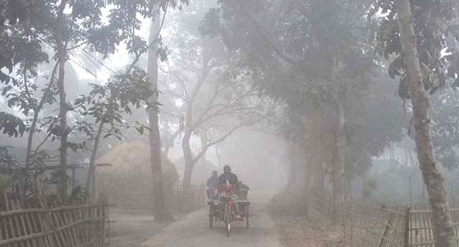 পঞ্চগড়ে ১০ ডিগ্রিতে নামল তাপমাত্রা
