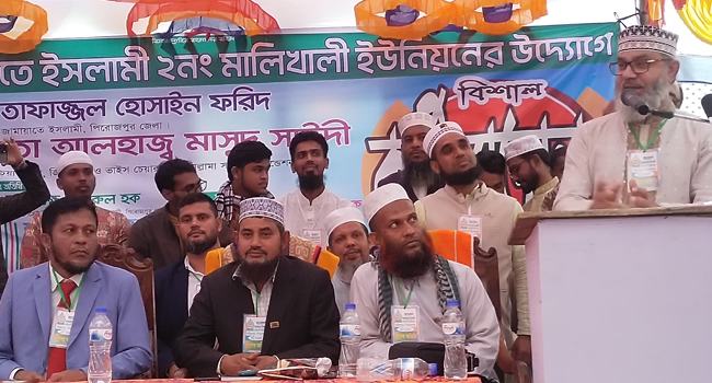 শেখ সাহেবের সন্তানেরা ব্যাংক লুট করেছে : মাসুদ সাঈদী