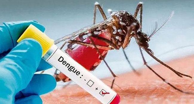 ডেঙ্গুতে আরো ৩ জনের মৃত্যু, হাসপাতালে ৭০৫