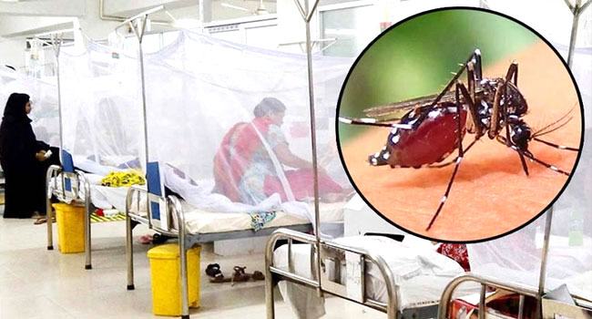 ডেঙ্গুতে আরো ৩ জনের মৃত্যু