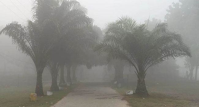 দিনাজপুরে তাপমাত্রা নামল ১০ ডিগ্রিতে