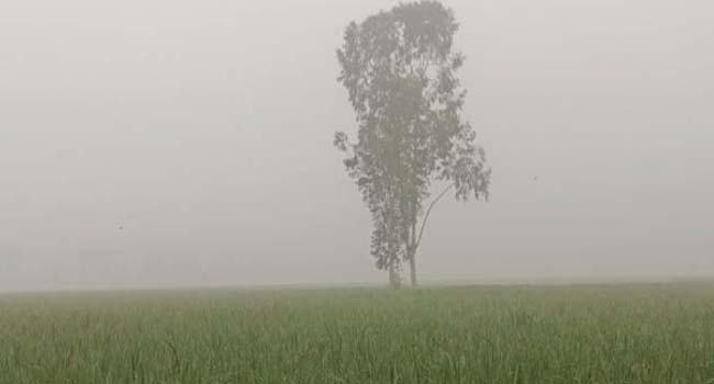 তাপমাত্রা কমতে পারে