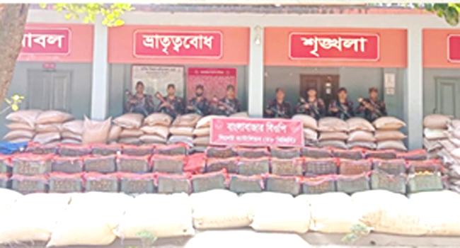 সিলেট সীমান্তে বিজিবির অভিযানে কোটি টাকার চোরাই পণ্য জব্দ