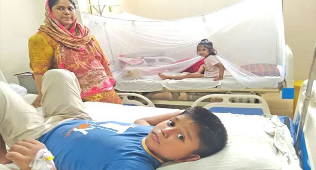 ডেঙ্গুতে আরো ২ জনের মৃত্যু, হাসপাতালে ৪৭৮