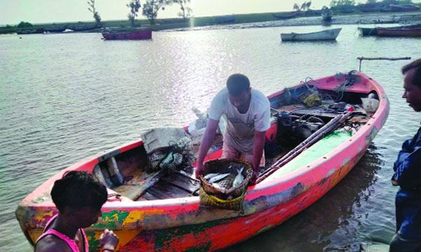 সাগরে মিলছে না কাক্সিক্ষত ইলিশ হতাশ মিরসরাইয়ের জেলেরা