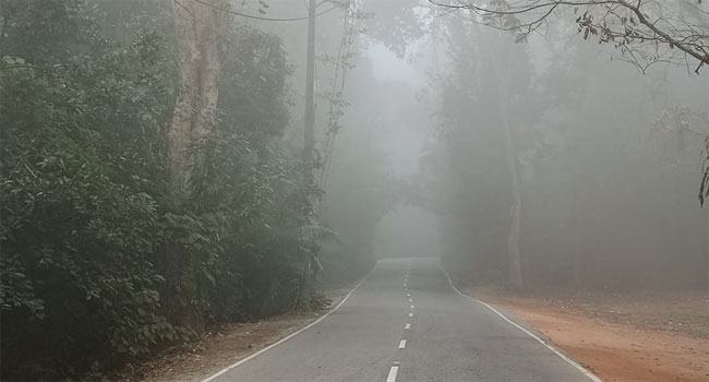 শ্রীমঙ্গলে বেড়েছে শীতের প্রকোপ