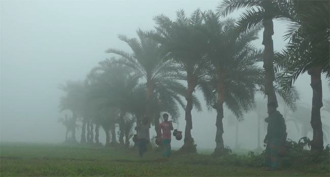 আরো কমলো চুয়াডাঙ্গার তাপমাত্রা