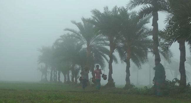 কমতে পারে তাপমাত্রা, ঘন কুয়াশার আশঙ্কা