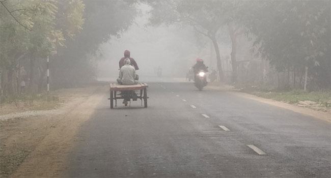 শৈত্যপ্রবাহে কাঁপছে চুয়াডাঙ্গা, তাপমাত্রা নামলো ৮ ডিগ্রিতে