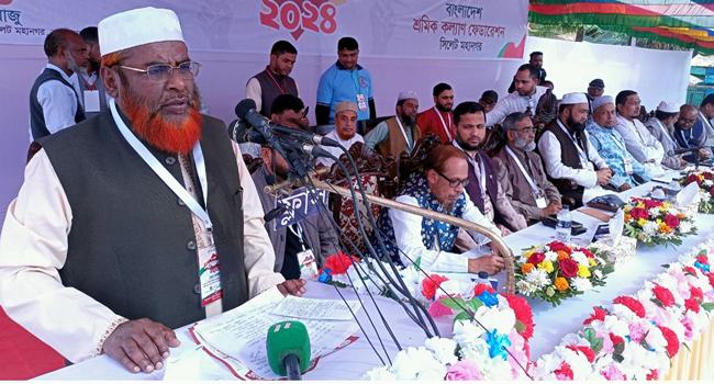 অন্তর্বর্তী সরকার ব্যর্থ হলে মহাদুর্যোগ নেমে আসবে : গোলাম পরওয়ার