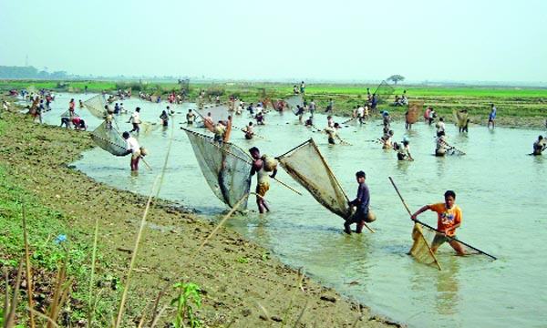 বইদ উৎসব কী