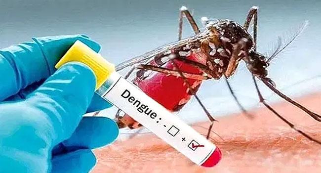 ডেঙ্গুতে আরো ১ জনের মৃত্যু
