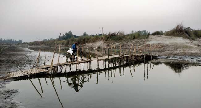 মরা নদীর উপর বাঁশের সাঁকো
