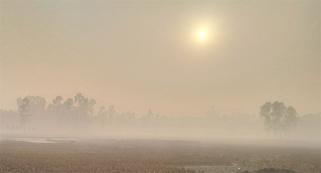 কুড়িগ্রামে সূর্য উঁকি দিলেও মিলছে না উষ্ণতা