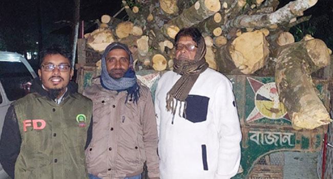 কুলাউড়ায় আগর কাঠ পাচারকালে ট্রাক উদ্ধার