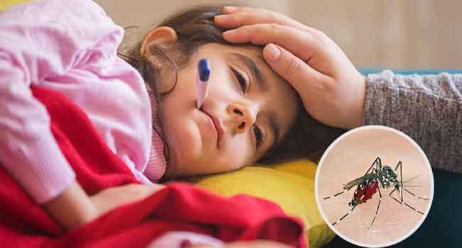 ডেঙ্গুতে আরো ১ জনের মৃত্যু, হাসপাতালে ১৭২