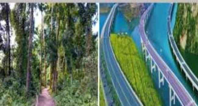 সিলেটে ৫ হাজার কোটি টাকার দুই ‘মেগা’ প্রকল্প বাতিল