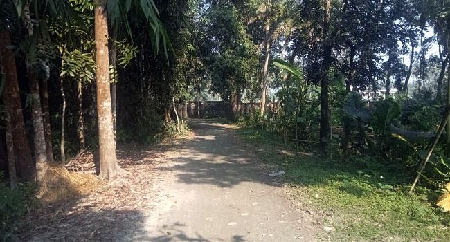 বাবুগঞ্জ উপজেলা প্রকল্প বাস্তবায়ন কর্মকর্তার বিরুদ্ধে দুর্নীতির অভিযোগ