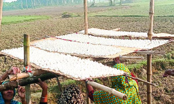 চৌগাছায় ঘরে ঘরে কুমড়ো বড়ি তৈরির ব্যস্ততা