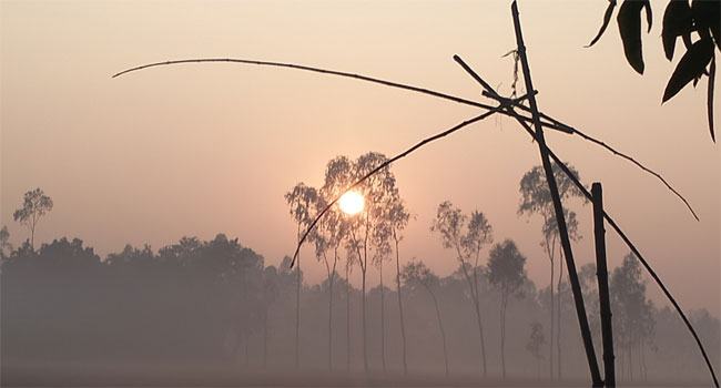 পৌষের প্রভাতের আলোয় শীতের জয়