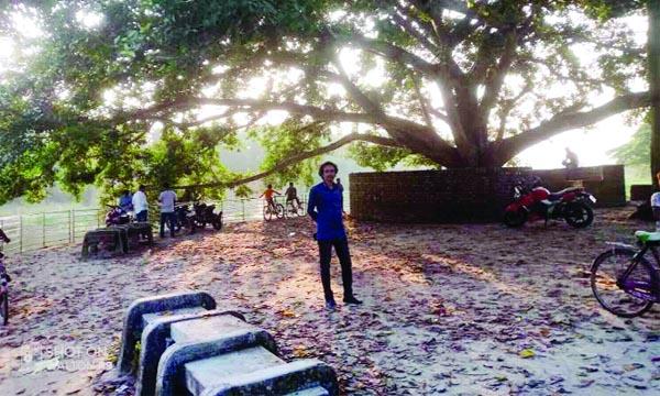 কাটাখাল শতাব্দীর বটতলা