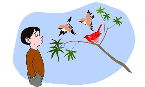 পাখির প্রতি ভালোবাসা