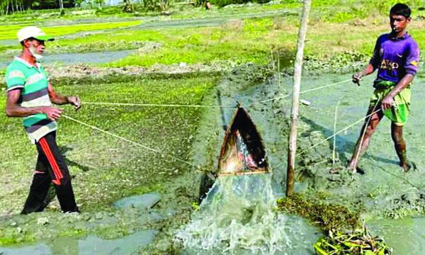 হোসেনপুরে বিলুপ্তির পথে প্রাচীন কৃষিযন্ত্র সেঁউতি