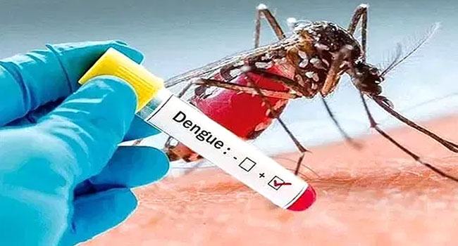 বছরের প্রথম দিন ডেঙ্গুতে মৃত্যু নেই, হাসপাতালে ৮৬