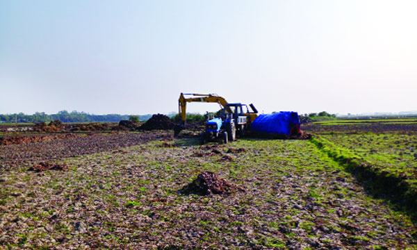 আড়িয়াল বিলে কৃষি জমির মাটি কাটার মহোৎসব