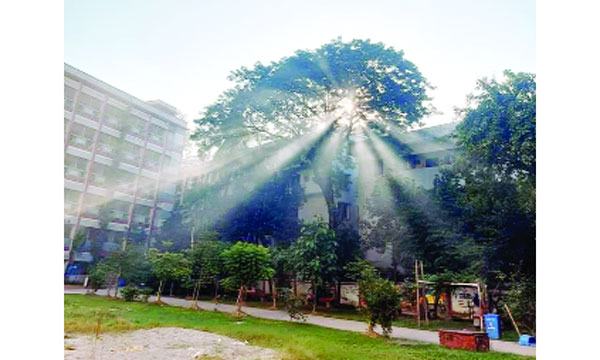 শীতে আমার ক্যাম্পাস